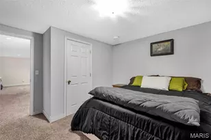 7 Morning Mist Ct, Saint Peters, MO 63376 - Photo 43