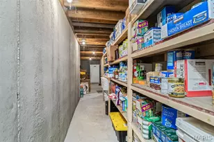 5753 Forest Dr, Hillsboro, MO 63050 - Photo 45