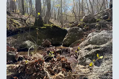 1 Off Fsr 2531, Bellerive, MO 63623 - Photo 11