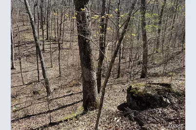 1 Off Fsr 2531, Bellerive, MO 63623 - Photo 7