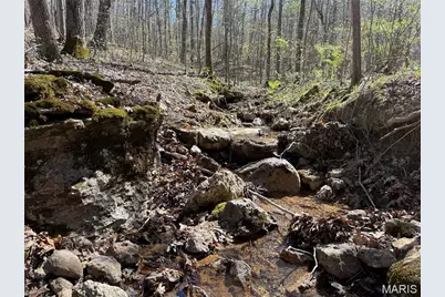 1 Off Fsr 2531, Bellerive, MO 63623 - Photo 33