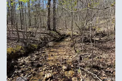 1 Off Fsr 2531, Bellerive, MO 63623 - Photo 29