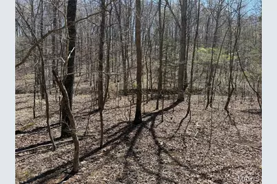 1 Off Fsr 2531, Bellerive, MO 63623 - Photo 27