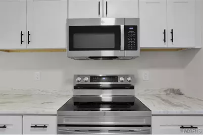 7507 Triwoods Drive #H, Shrewsbury, MO 63119 - Photo 15