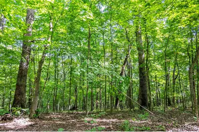 2 Whitetail Ridge Road, Eolia, MO 63344 - Photo 89