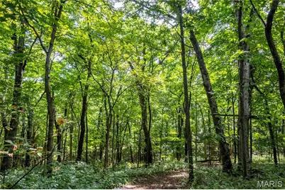 2 Whitetail Ridge Road, Eolia, MO 63344 - Photo 73