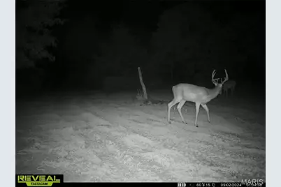 2 Whitetail Ridge Road, Eolia, MO 63344 - Photo 49