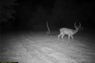 2 Whitetail Rdg Rd, Eolia, MO 63344 - Photo 49