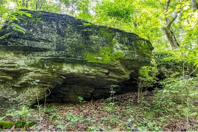 2 Whitetail Ridge Road, Eolia, MO 63344 - Photo 77