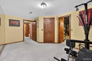 17602 Ailanthus Dr, Wildwood, MO 63005 - Photo 61