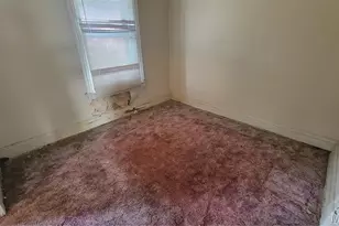 4410 Red Bud Ave, Saint Louis, MO 63115 - Photo 9