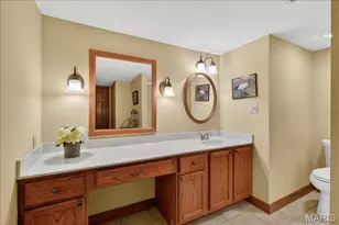 19463 Babler Forest Rd, Chesterfield, MO 63005 - Photo 21