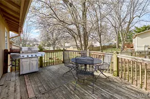 345 Rachels Trail, Saint Peters, MO 63376 - Photo 31