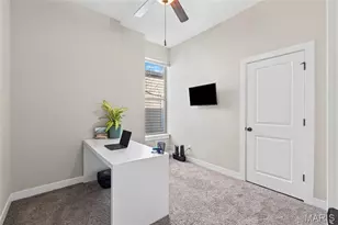 3434 Michigan Ave, Saint Louis, MO 63118 - Photo 19