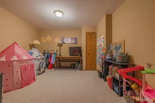 905 Mansion Rd, Winfield, MO 63389 - Photo 11