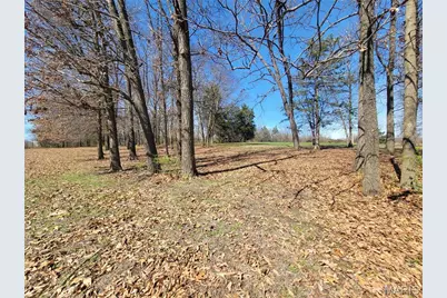 905 Mansion Road, Winfield, MO 63389 - Photo 33