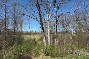 2725 Fantasy Ln, Villa Ridge, MO 63089 - Photo 5