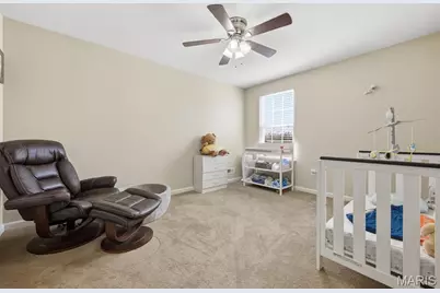 1631 Saint Charles Drive, Hillsboro, MO 63050 - Photo 23