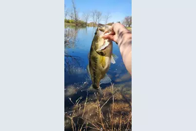 5437 Highway D, Farmington, MO 63640 - Photo 73