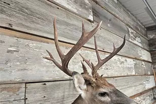 5437 Hwy D, Farmington, MO 63640 - Photo 75