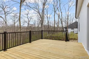 218 Ella Rose Ln, Saint Charles, MO 63304 - Photo 33