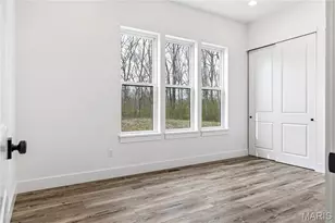 218 Ella Rose Ln, Saint Charles, MO 63304 - Photo 29