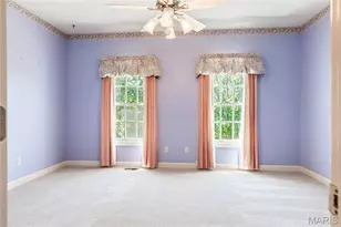 14301 Manderleigh Woods Dr, Town and Country, MO 63017 - Photo 37
