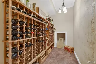 59 W Meath Ring, Weldon Spring, MO 63304 - Photo 47