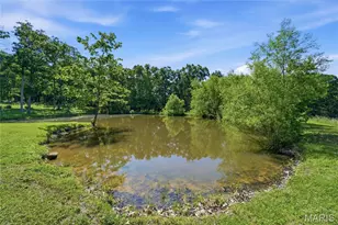 7816 Rye Creek Rd, Lonedell, MO 63060 - Photo 57