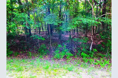 Lot315 Sec6 Marion Drive, De Soto, MO 63020 - Photo 13