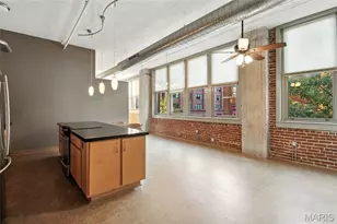 1627 Locust St, Saint Louis, MO 63103 - Photo 11