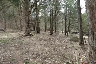 4828 Whitehead Rd, Hillsboro, MO 63050 - Photo 33