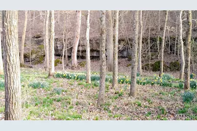 4828 Whitehead Road, Hillsboro, MO 63050 - Photo 39