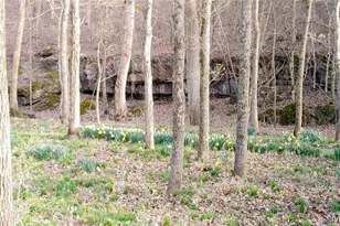 4828 Whitehead Rd, Hillsboro, MO 63050 - Photo 39