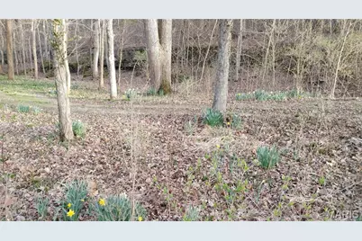 4828 Whitehead Road, Hillsboro, MO 63050 - Photo 37