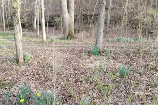 4828 Whitehead Rd, Hillsboro, MO 63050 - Photo 37