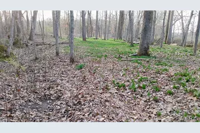 4828 Whitehead Road, Hillsboro, MO 63050 - Photo 43