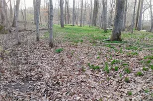 4828 Whitehead Rd, Hillsboro, MO 63050 - Photo 43