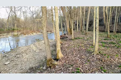 4828 Whitehead Road, Hillsboro, MO 63050 - Photo 3