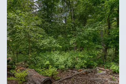 2528 Alpine Trails Drive, Innsbrook, MO 63390 - Photo 3