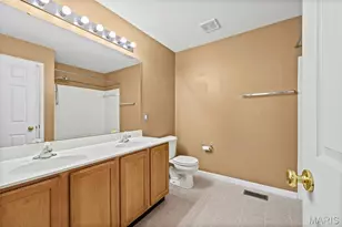 102 Hollow Brook Dr, Florissant, MO 63034 - Photo 29
