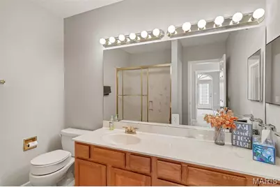 7400 Whitehall Colonial Lane #421, Shrewsbury, MO 63119 - Photo 21