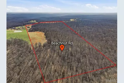 86.6+/- Acre Beechnut, Grover, MO 65078 - Photo 15