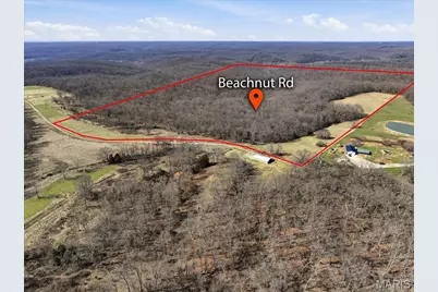 86.6+/- Acre Beechnut, Grover, MO 65078 - Photo 1