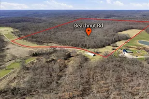 86 6+/- Acre Beechnut, Grover, MO 65078 - Photo 1