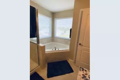 4 Pasture View Court, Wentzville, MO 63385 - Photo 33