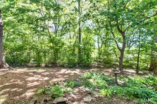 39 Ridgeview Cir Ct, Ballwin, MO 63021 - Photo 49