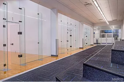 11001 Saint Raphael Lane, Saint Ann, MO 63074 - Photo 49