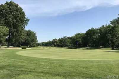 11001 Saint Raphael Lane, Saint Ann, MO 63074 - Photo 53