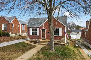 331 Geneva Dr, Saint Louis, MO 63125 - Photo 41